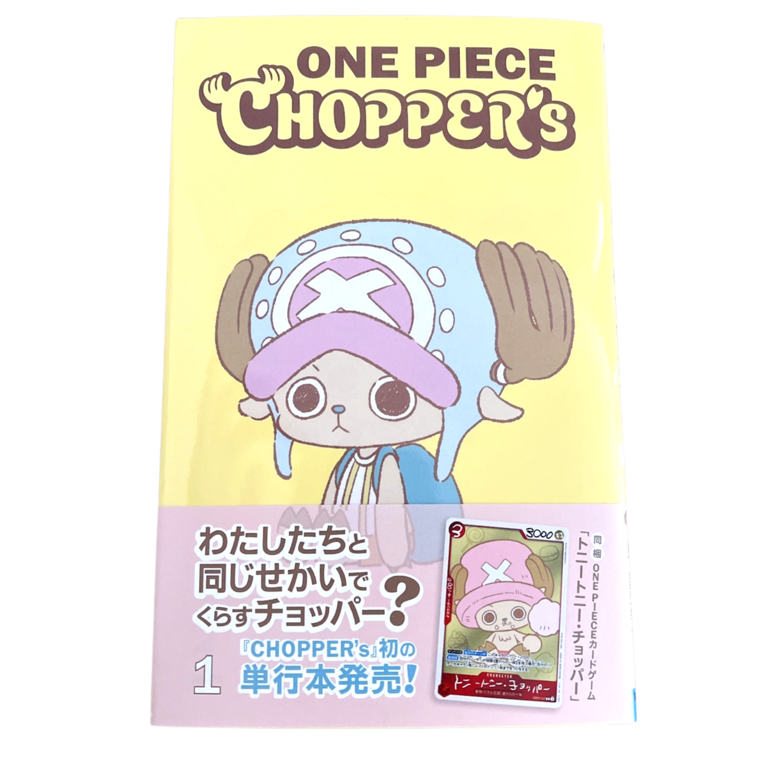 2nd Anniversary Complete Guide (2周年完全ガイド) Special Book
